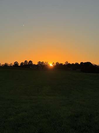 73.7 Acres of Agricultural Land for Sale in Woodburn, Kentucky