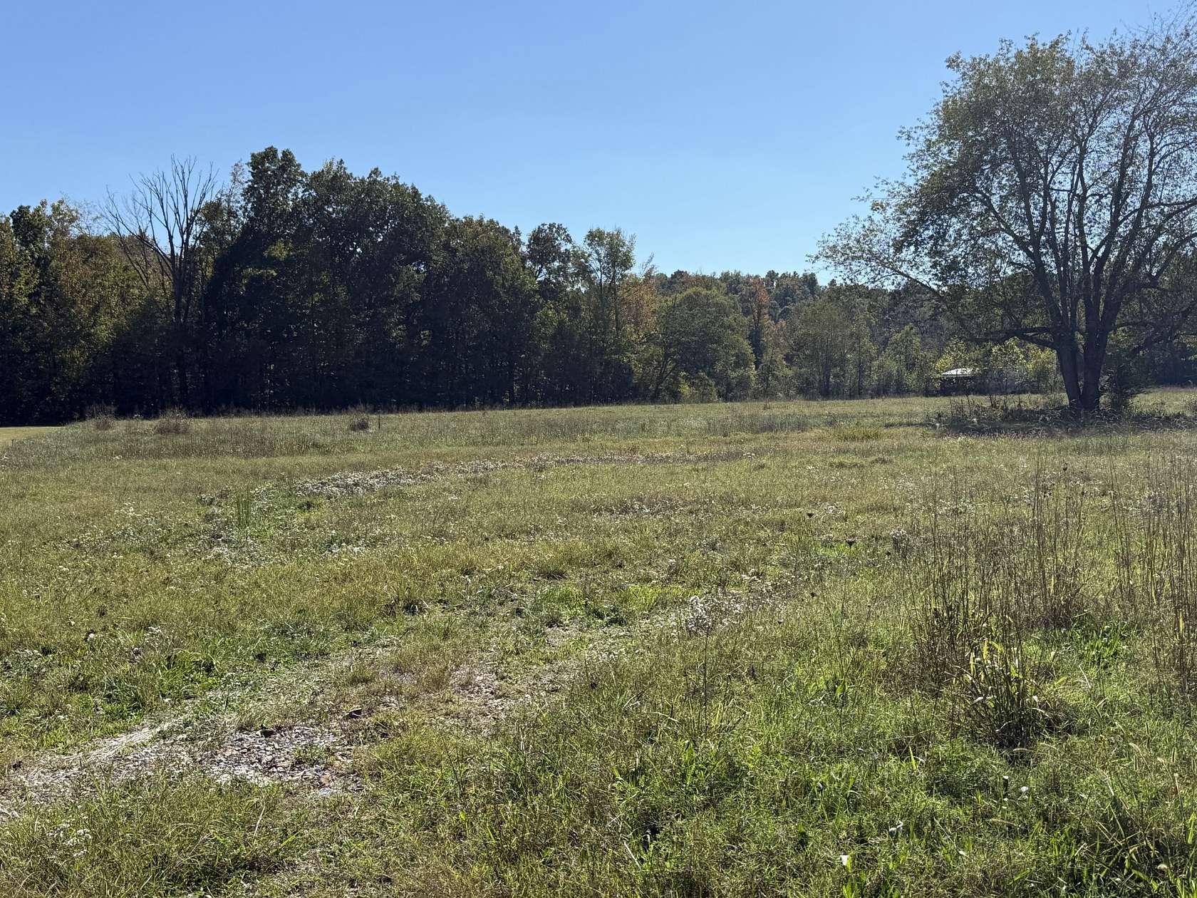 7.49 Acres of Residential Land for Sale in Waverly, Tennessee