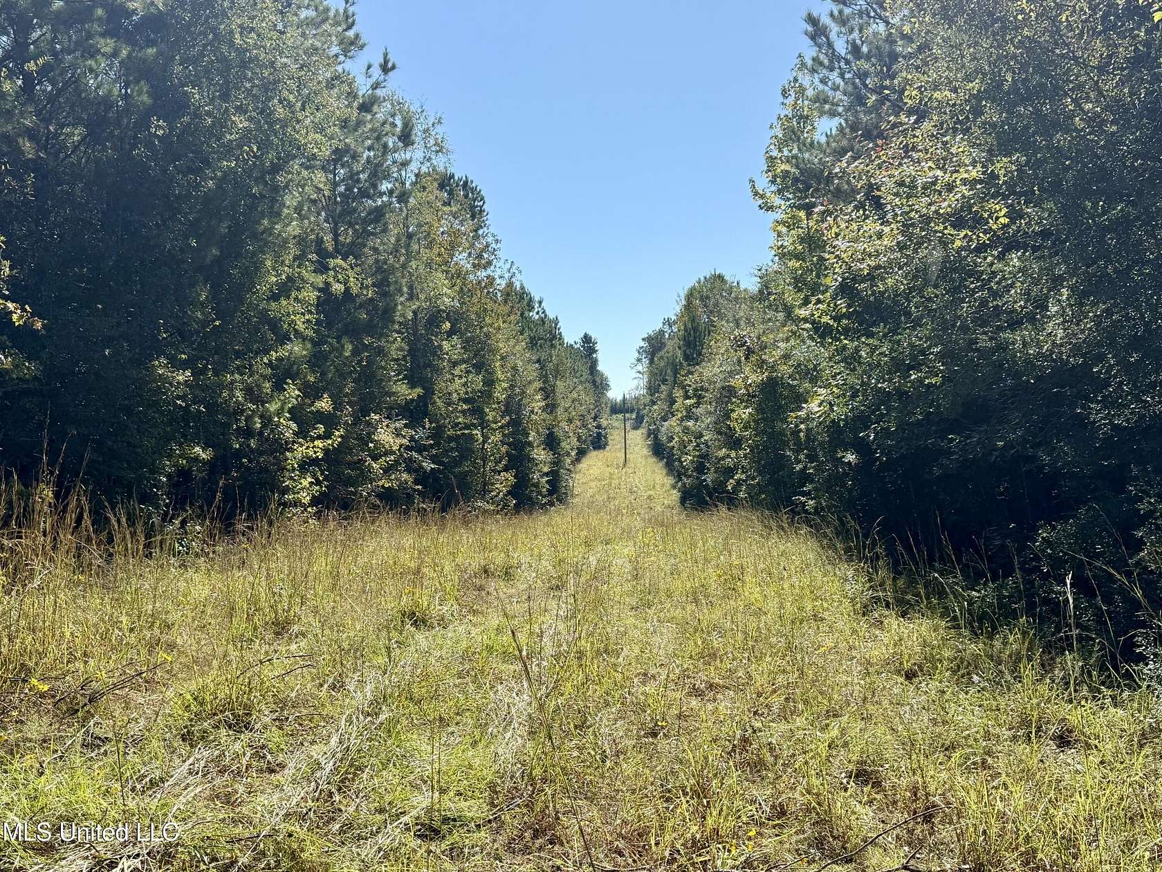 40 Acres of Recreational Land for Sale in Sontag, Mississippi