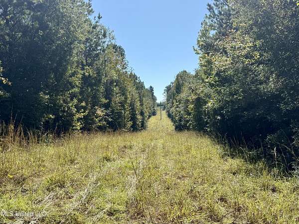 40 Acres of Recreational Land for Sale in Sontag, Mississippi