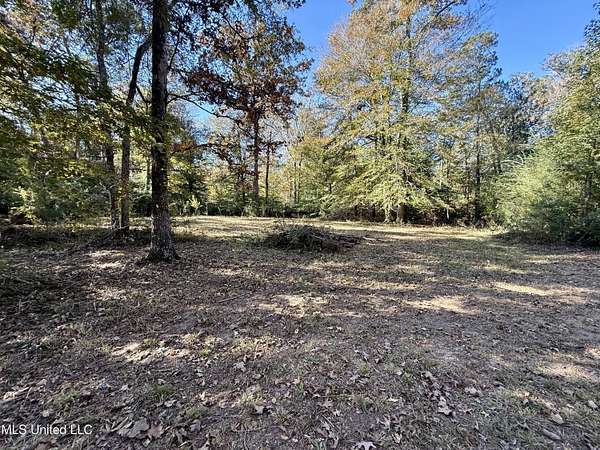 2 Acres of Residential Land for Sale in McComb, Mississippi