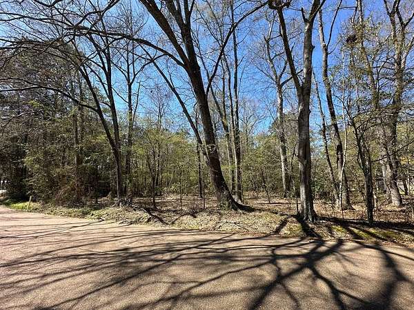 0.66 Acres of Residential Land for Sale in Brookhaven, Mississippi