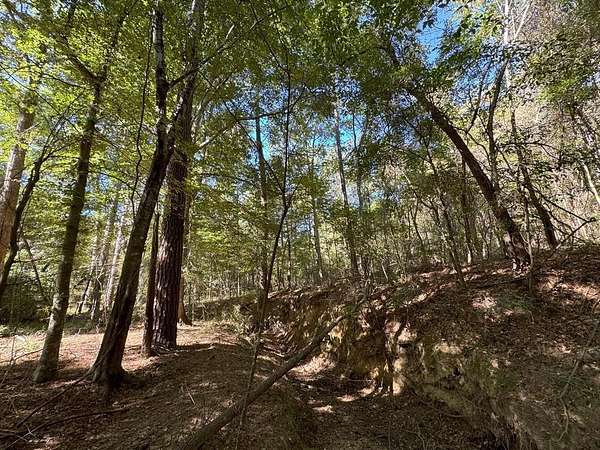 48 Acres of Recreational Land for Sale in McComb, Mississippi