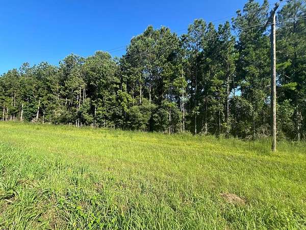 2.59 Acres of Residential Land for Sale in Jayess, Mississippi