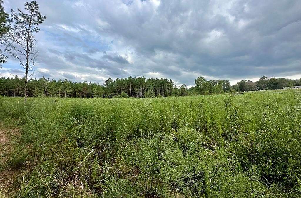 2 Acres of Residential Land for Sale in Bogue Chitto, Mississippi