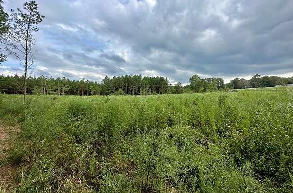 2 Acres of Residential Land for Sale in Bogue Chitto, Mississippi