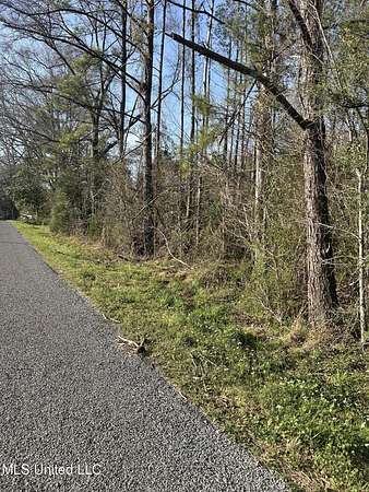 1 Acre of Residential Land for Sale in Summit, Mississippi