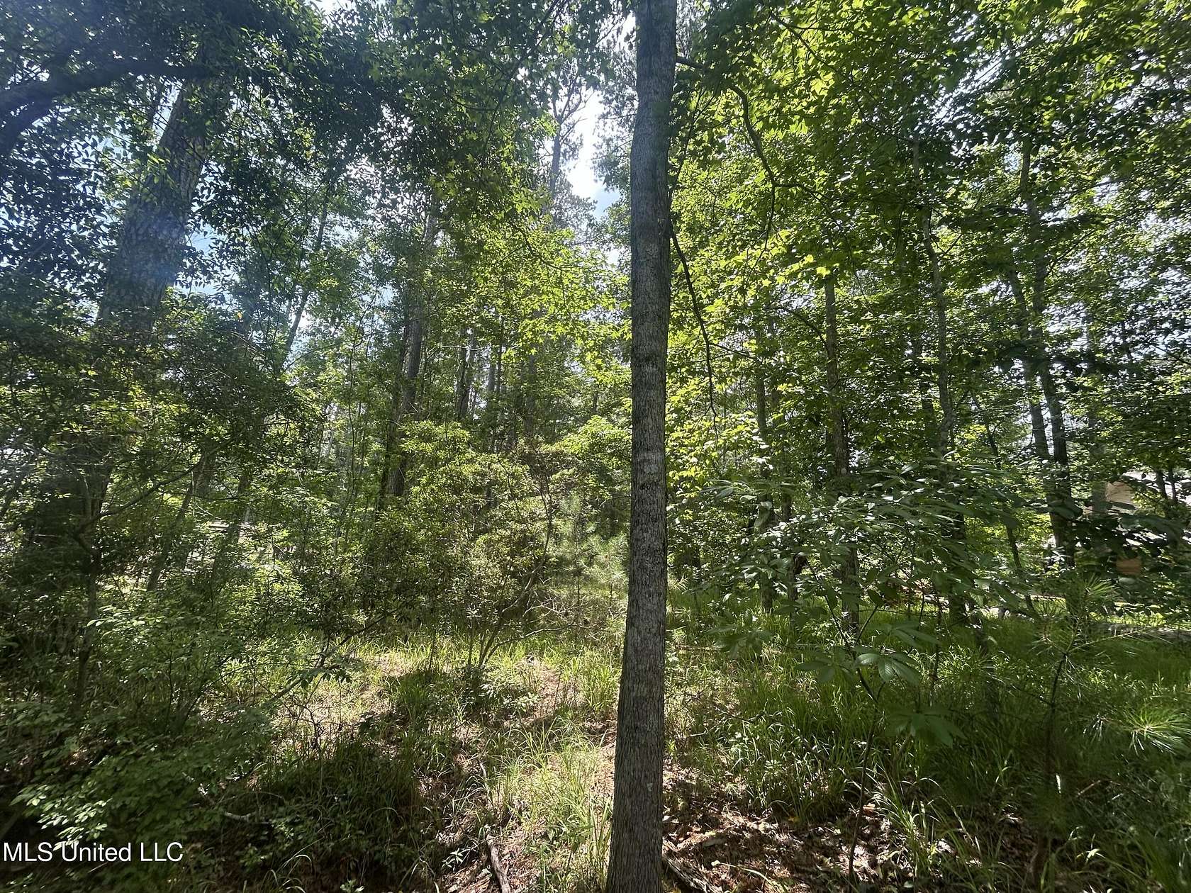0.5 Acres of Residential Land for Sale in Pachuta, Mississippi