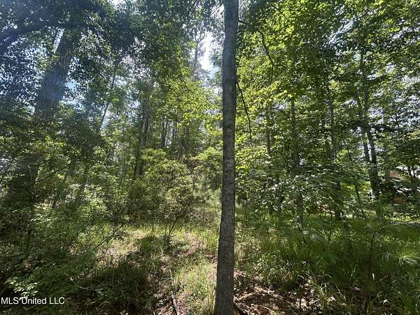 0.5 Acres of Residential Land for Sale in Pachuta, Mississippi