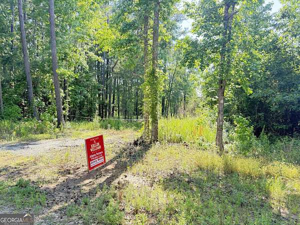 11.8 Acres of Land for Sale in Barnesville, Georgia