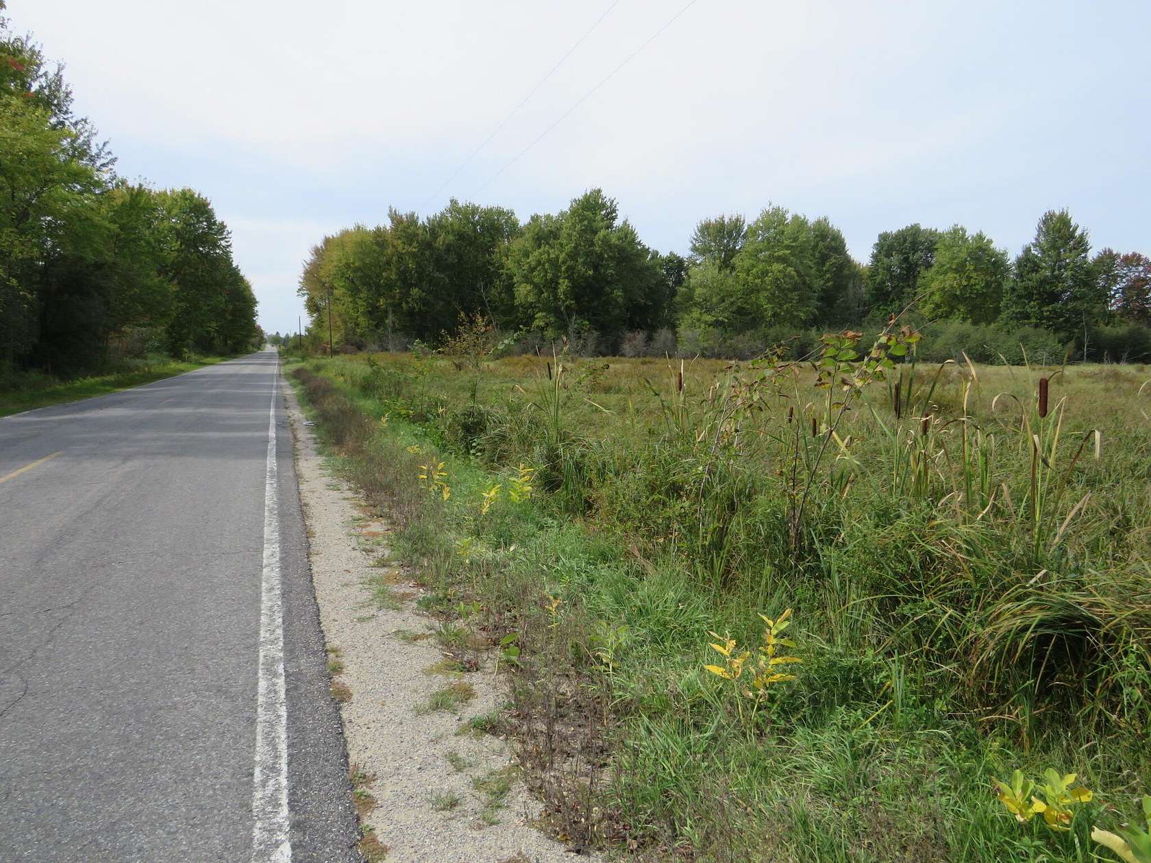 38.3 Acres of Recreational Land & Farm for Sale in Marion, Michigan