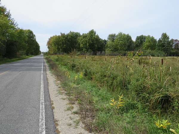 38.3 Acres of Recreational Land & Farm for Sale in Marion, Michigan