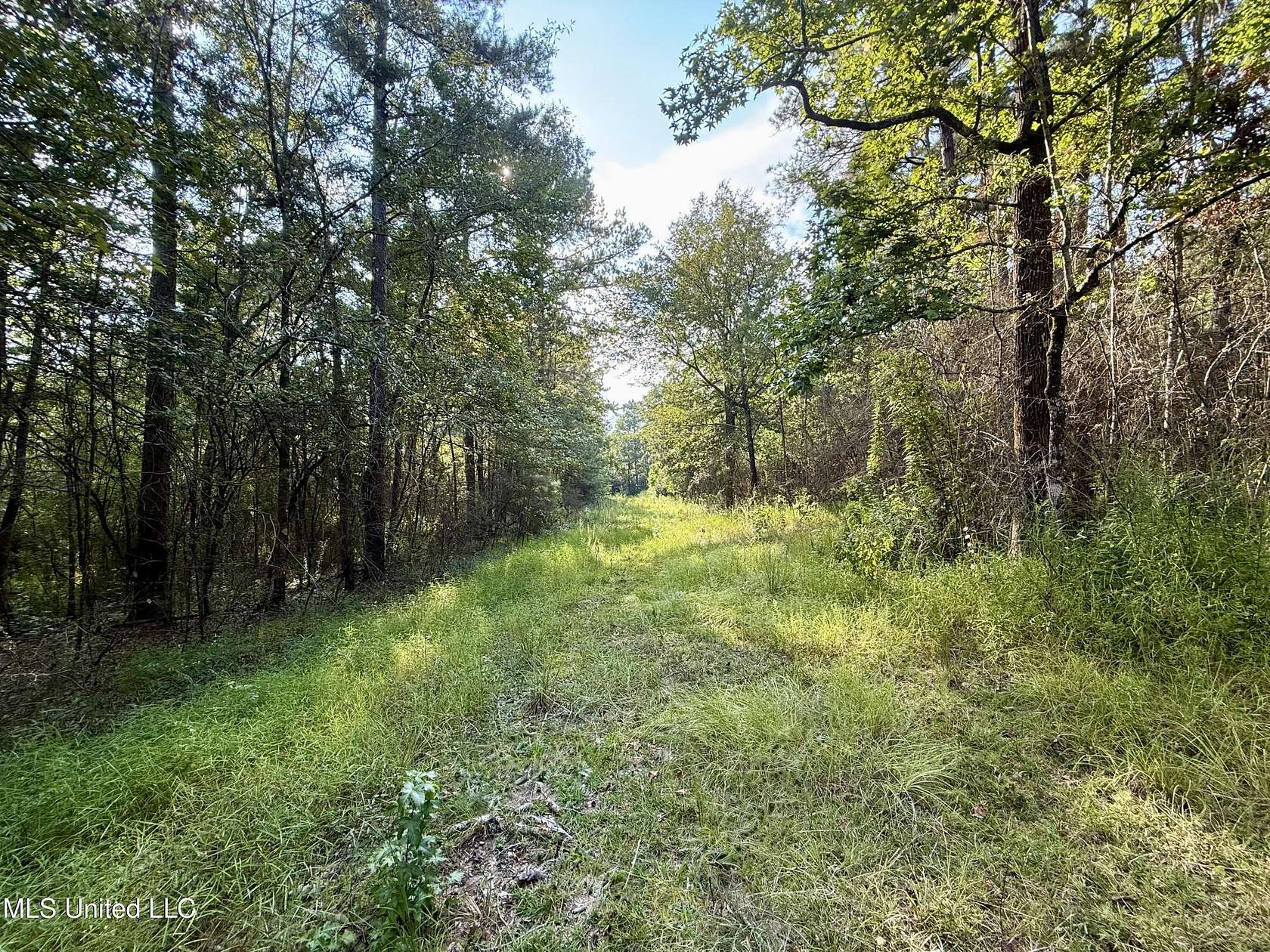 35.9 Acres of Land for Sale in Liberty, Mississippi