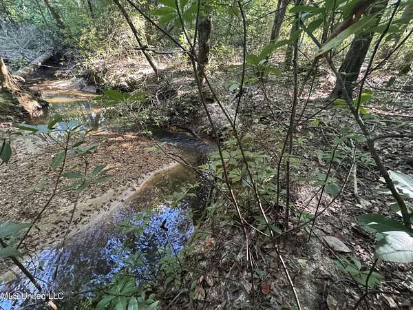 45 Acres of Recreational Land for Sale in Brookhaven, Mississippi