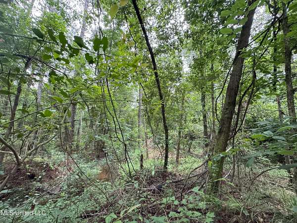 4.74 Acres of Residential Land for Sale in Albany, Louisiana