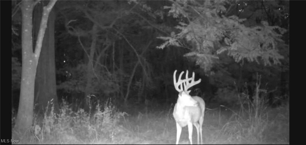 14 Acres of Recreational Land for Sale in Dellroy, Ohio