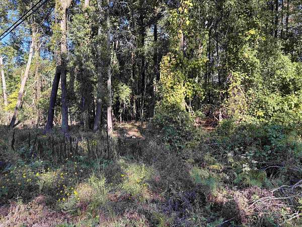0.64 Acres of Residential Land for Sale in Sheridan, Arkansas