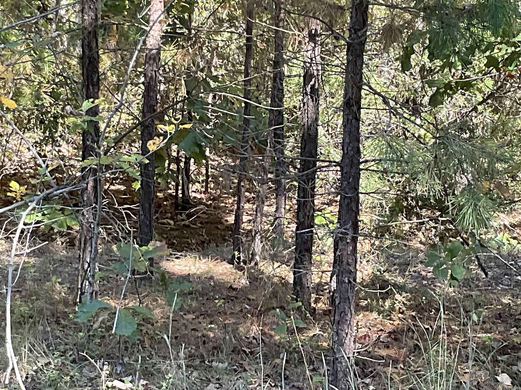 20.4 Acres of Recreational Land for Sale in Choctaw, Arkansas