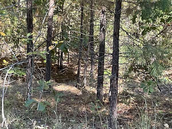 20.4 Acres of Recreational Land for Sale in Choctaw, Arkansas