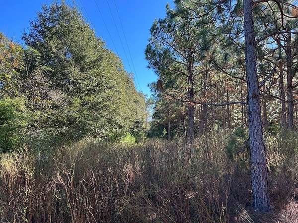 10 Acres of Residential Land for Sale in Headland, Alabama
