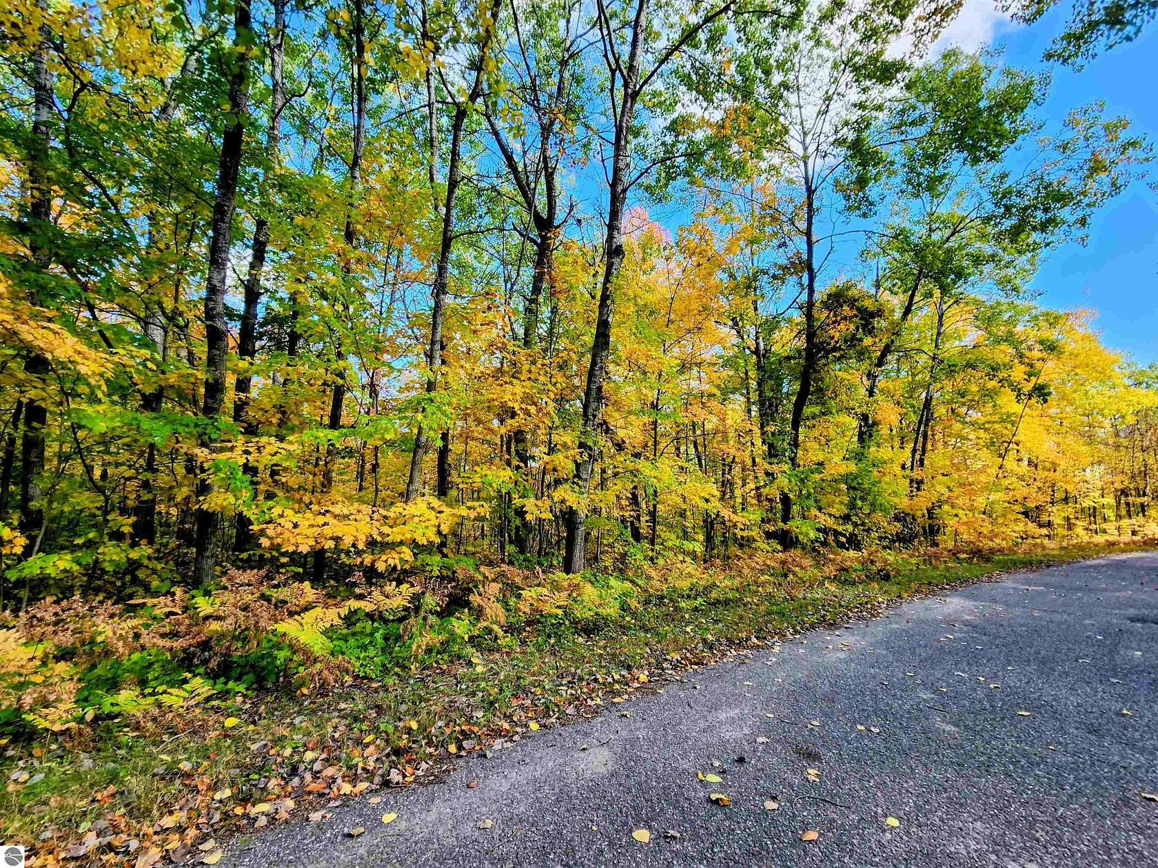 0.59 Acres of Residential Land for Sale in Mancelona, Michigan