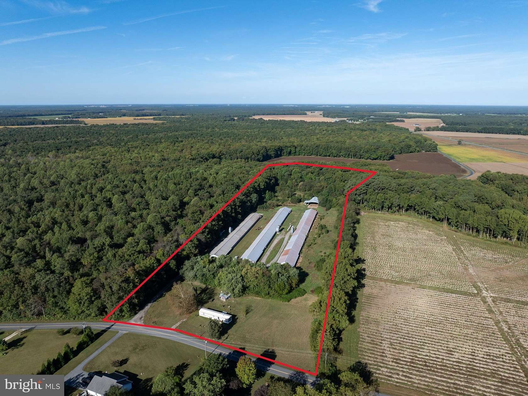 12 Acres of Land with Home for Sale in Rhodesdale, Maryland