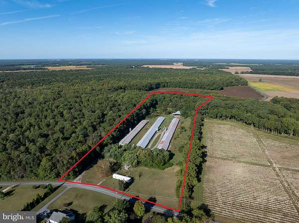 12 Acres of Land with Home for Sale in Rhodesdale, Maryland