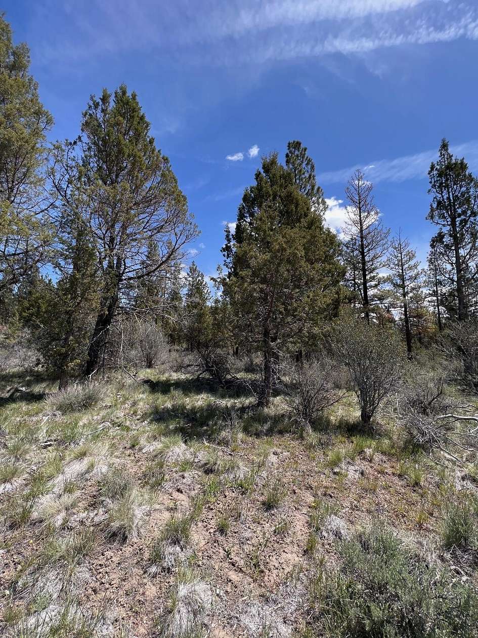 1.54 Acres of Residential Land for Sale in Beatty, Oregon