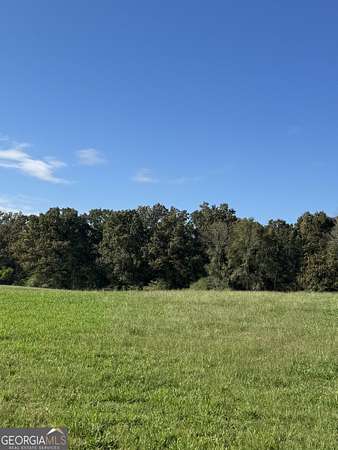21.5 Acres of Land for Sale in Shady Dale, Georgia