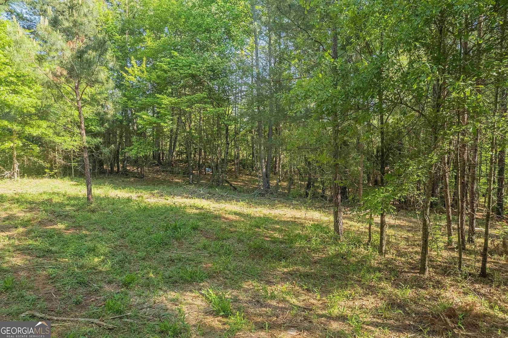 27.4 Acres of Recreational Land for Sale in Toccoa, Georgia