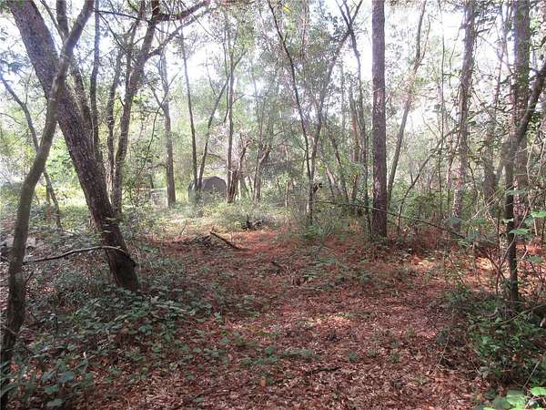 0.29 Acres of Residential Land for Sale in Silver Springs, Florida