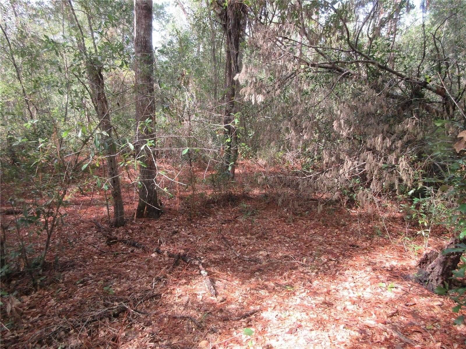 0.29 Acres of Residential Land for Sale in Silver Springs, Florida