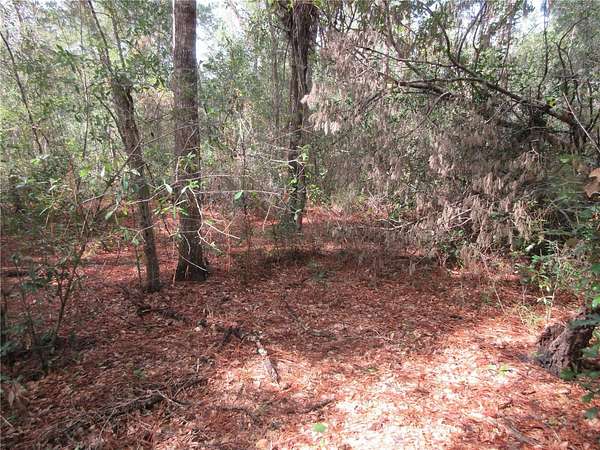 0.29 Acres of Residential Land for Sale in Silver Springs, Florida