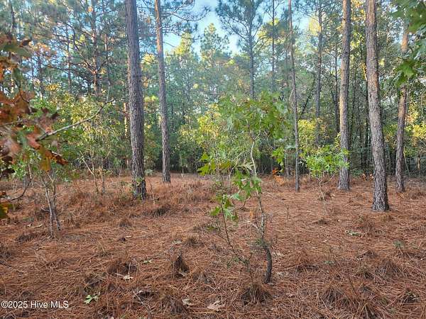 1.19 Acres of Residential Land for Sale in Jackson Springs, North Carolina