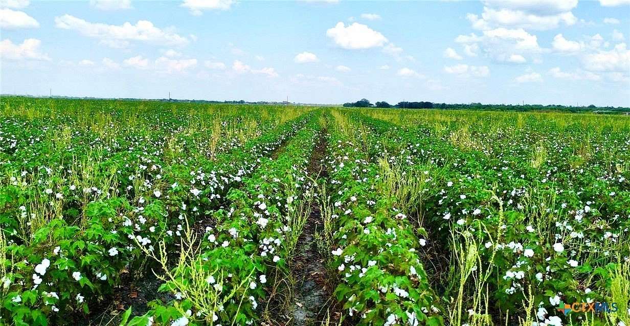30 Acres of Agricultural Land for Sale in Guy, Texas