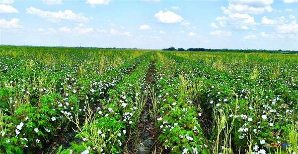 30 Acres of Agricultural Land for Sale in Guy, Texas
