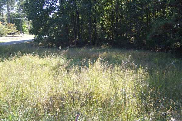 1.6 Acres of Residential Land for Sale in Heber Springs, Arkansas