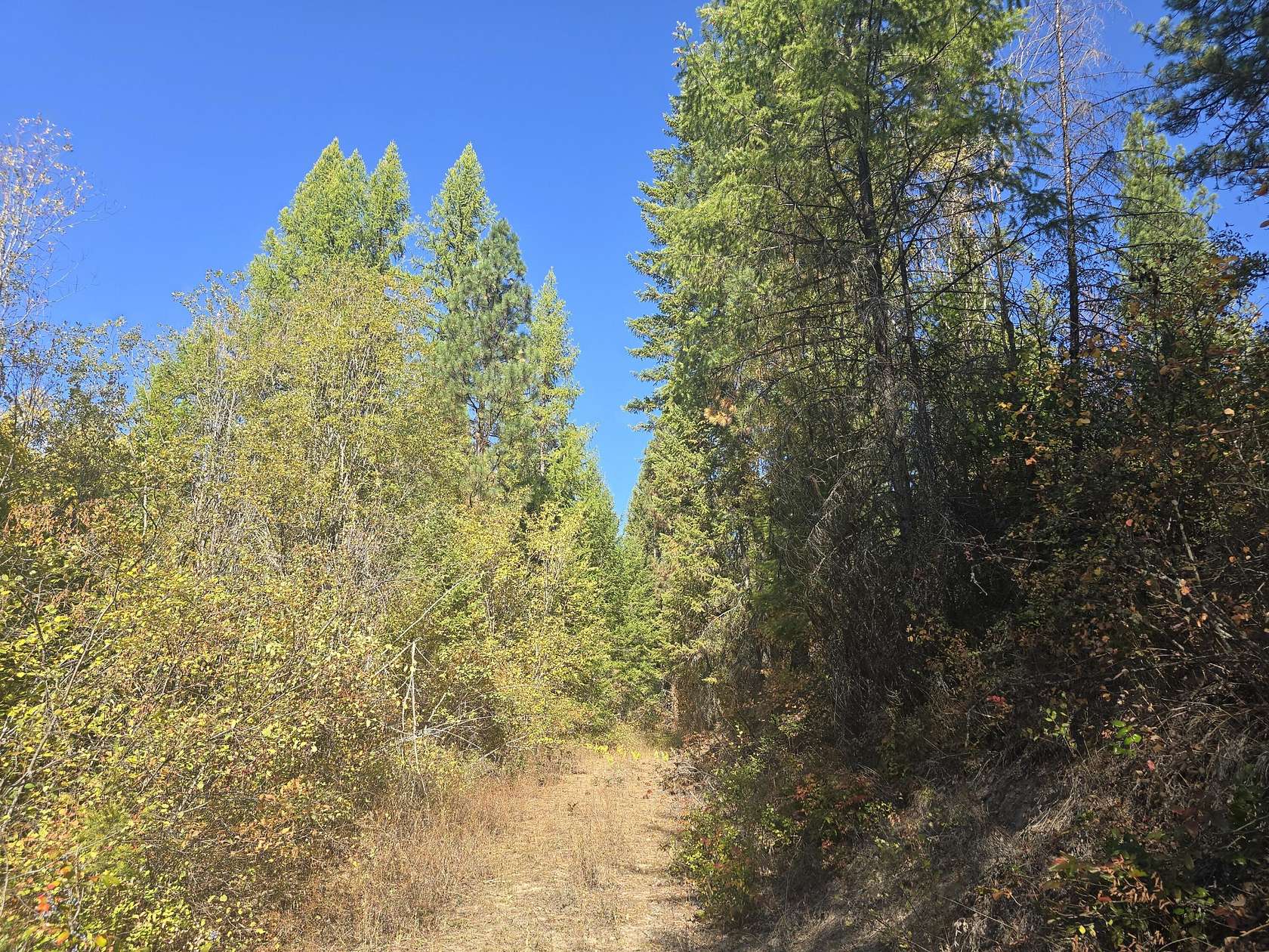 211 Acres of Recreational Land for Sale in Kettle Falls, Washington