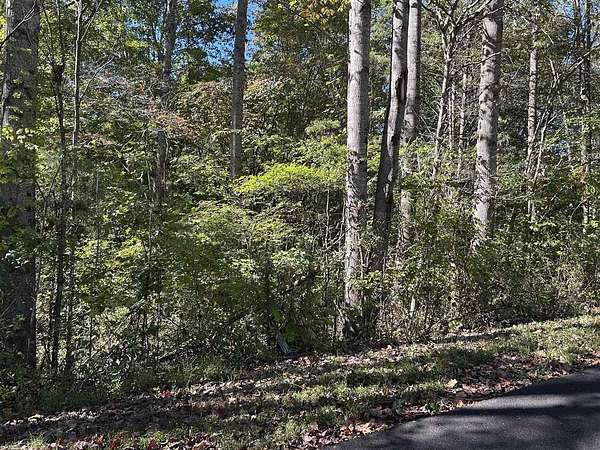 0.33 Acres of Land for Sale in Scottsville, Kentucky