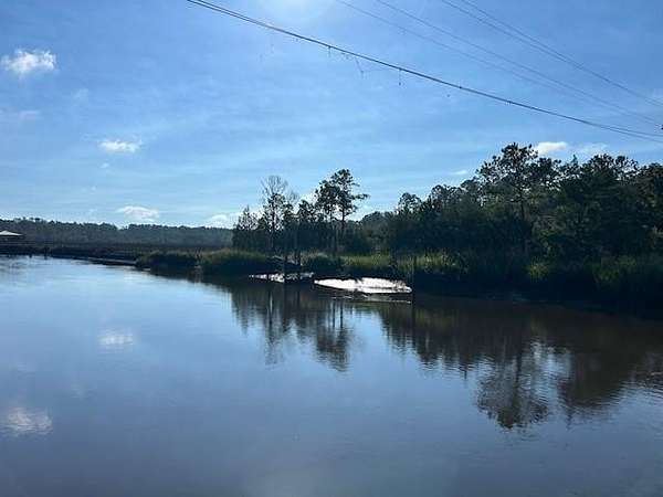 6 Acres of Residential Land for Sale in Townsend, Georgia