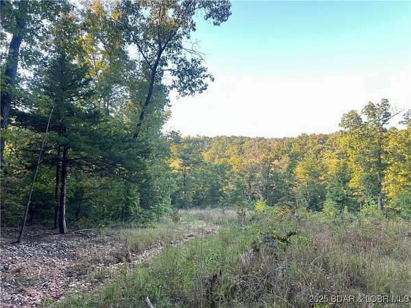 34.2 Acres of Recreational Land for Sale in Iberia, Missouri