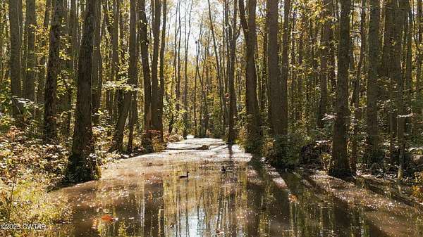 154 Acres of Recreational Land for Sale in Jackson, Tennessee