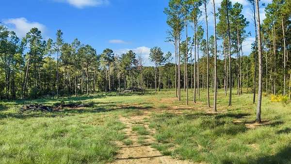 6.19 Acres of Residential Land for Sale in Nacogdoches, Texas