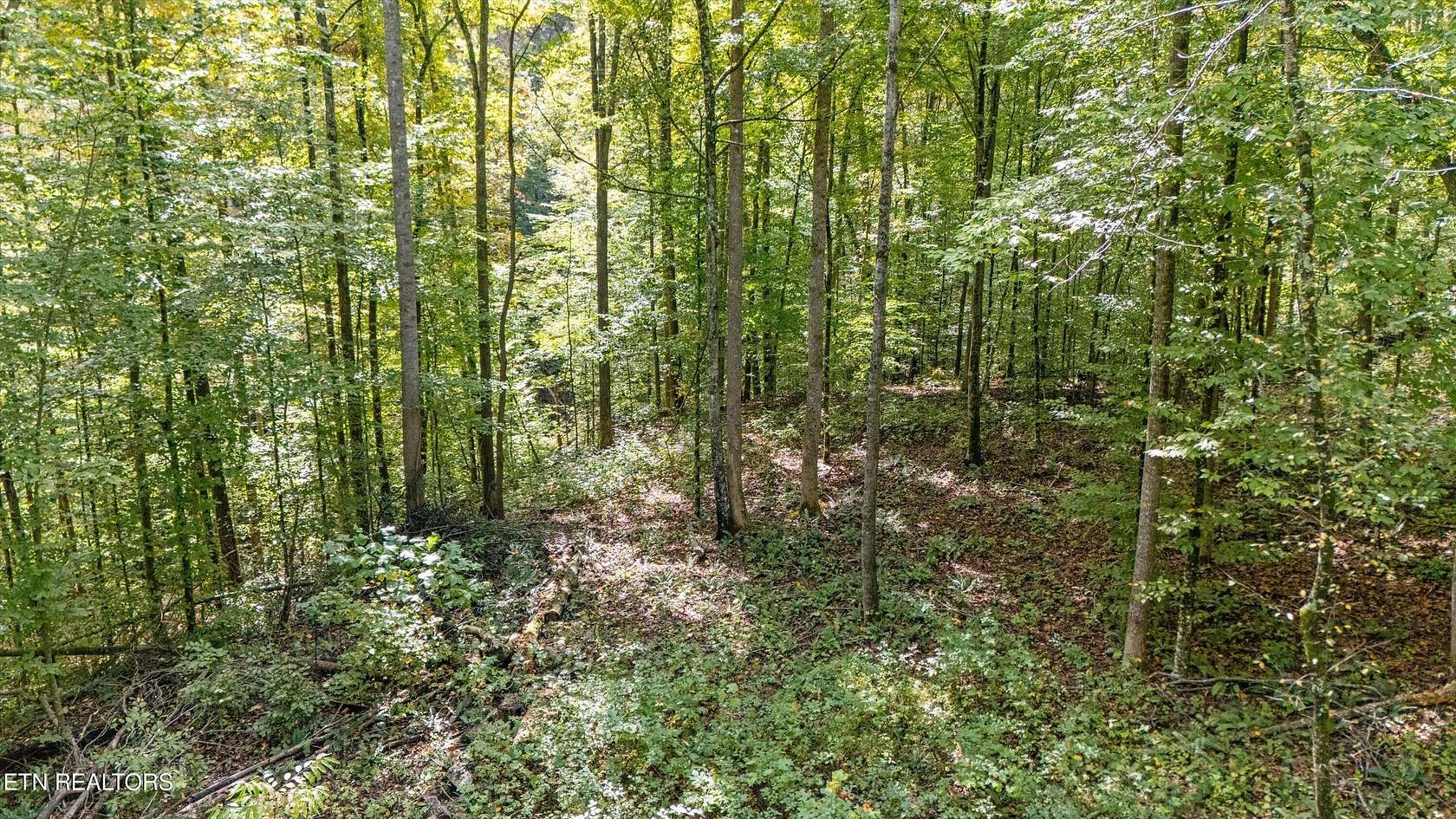 42.4 Acres of Recreational & Residential Land for Sale in Luttrell, Tennessee