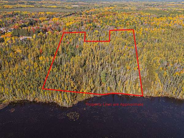 20 Acres of Land for Sale in Rhinelander, Wisconsin