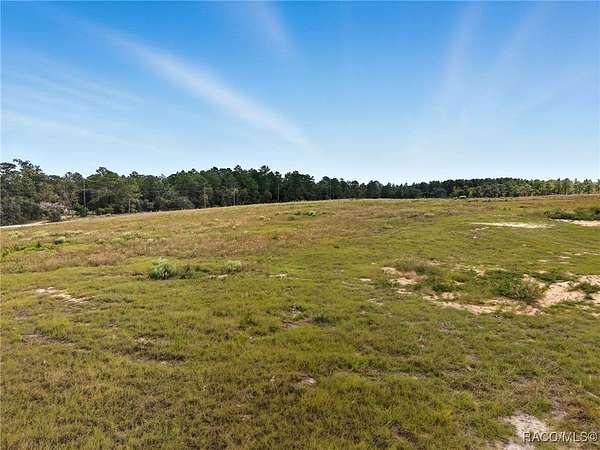2 Acres of Land for Sale in Dunnellon, Florida