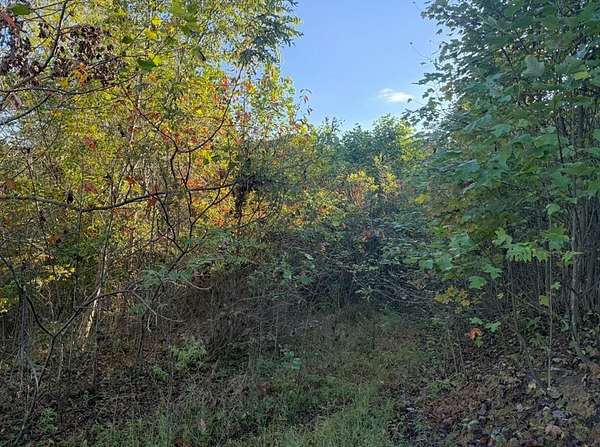 42 Acres of Recreational Land for Sale in Tollesboro, Kentucky