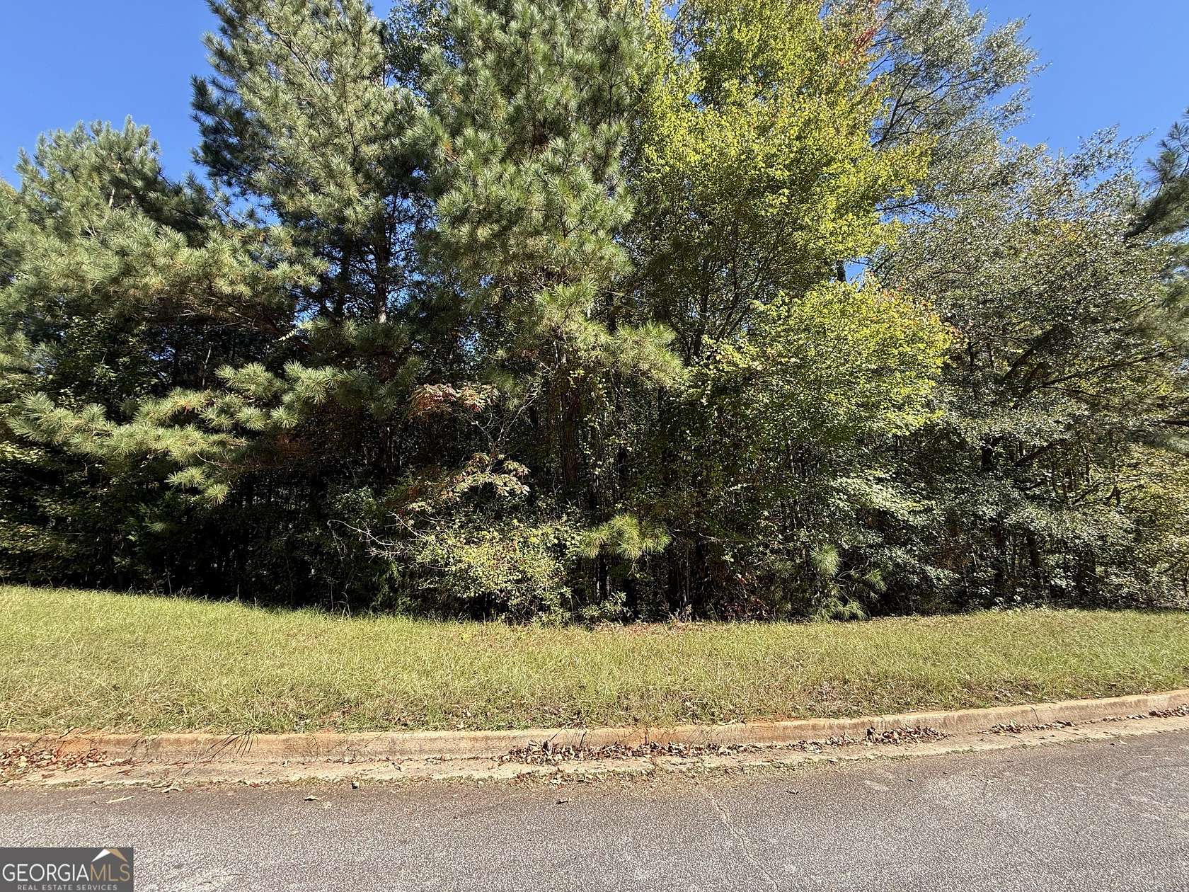 1.2 Acres of Residential Land for Sale in McDonough, Georgia