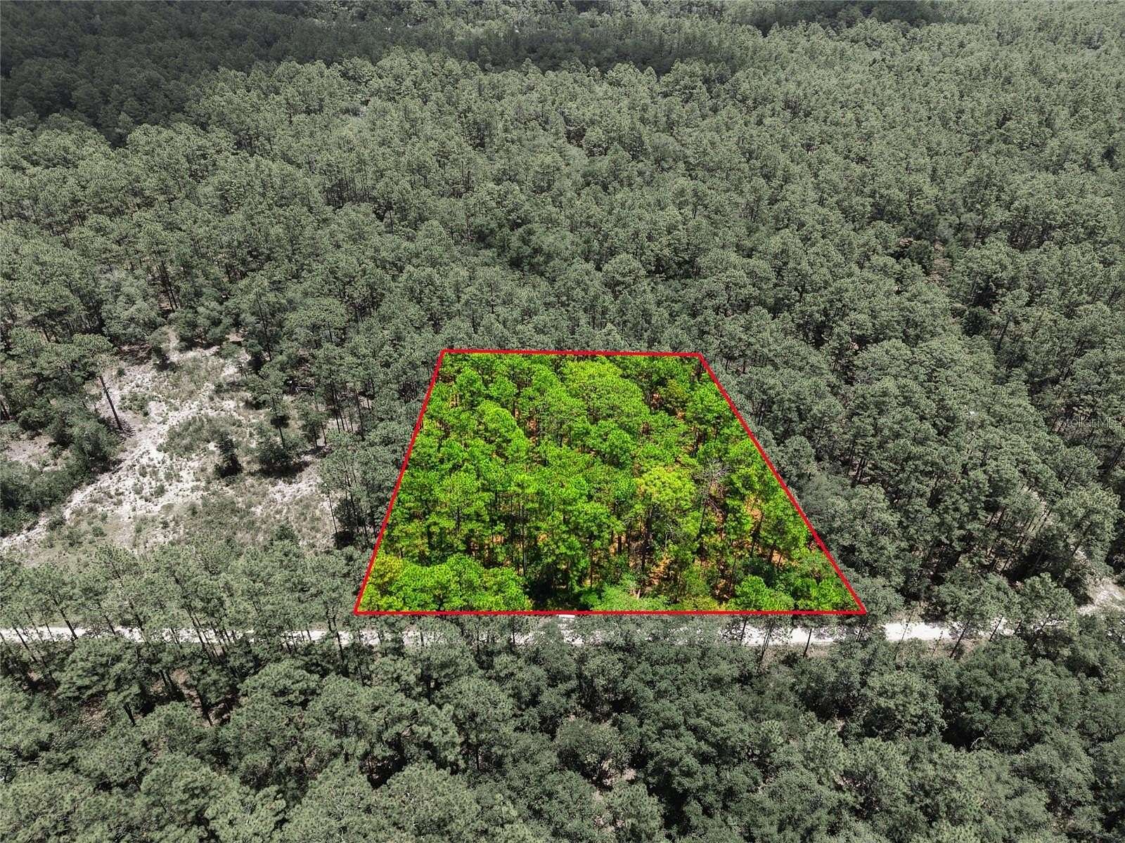 2 Acres of Residential Land for Sale in Dunnellon, Florida