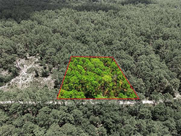 2 Acres of Residential Land for Sale in Dunnellon, Florida
